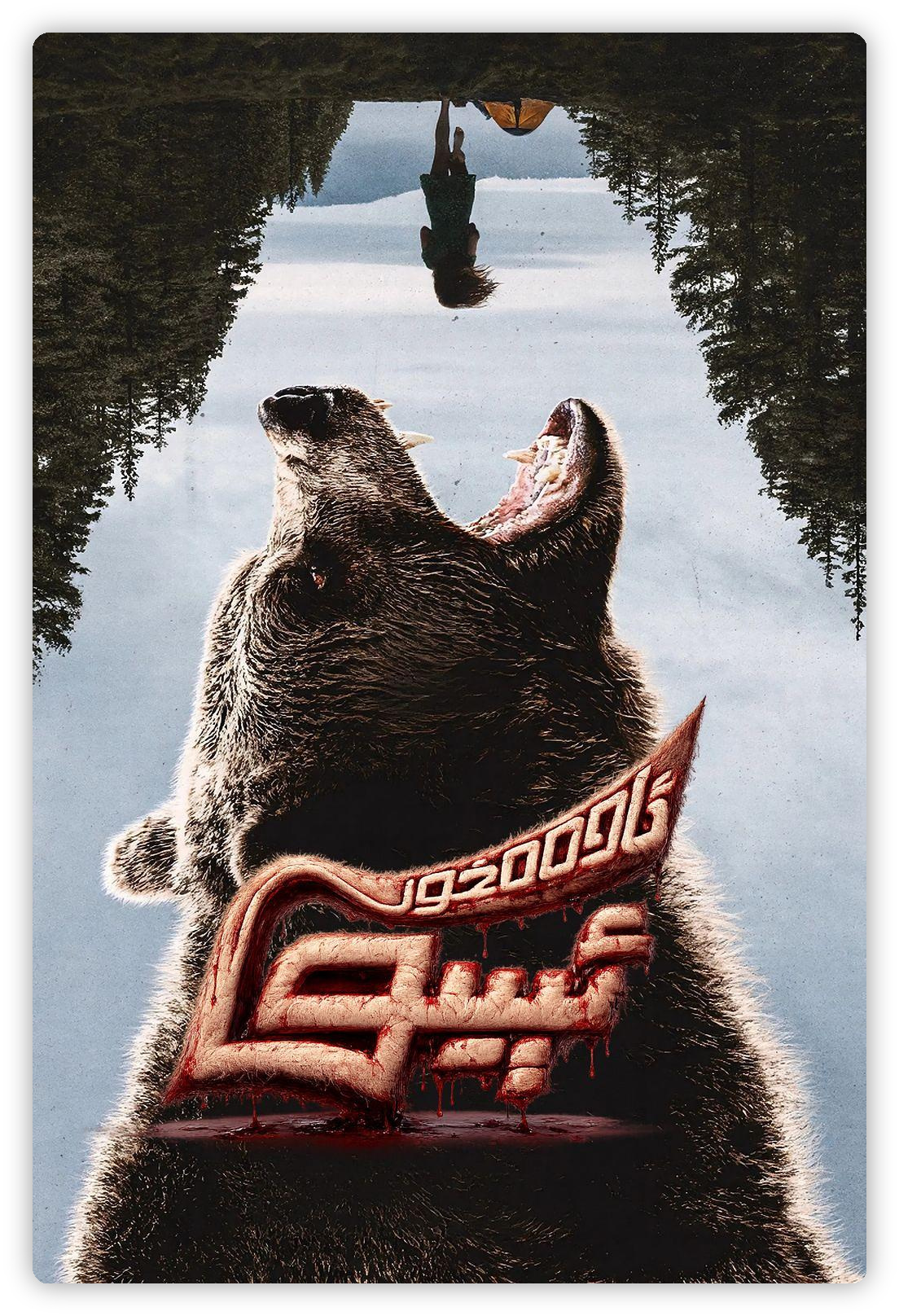 巨熊之夜 Grizzly Night 深度影评海报