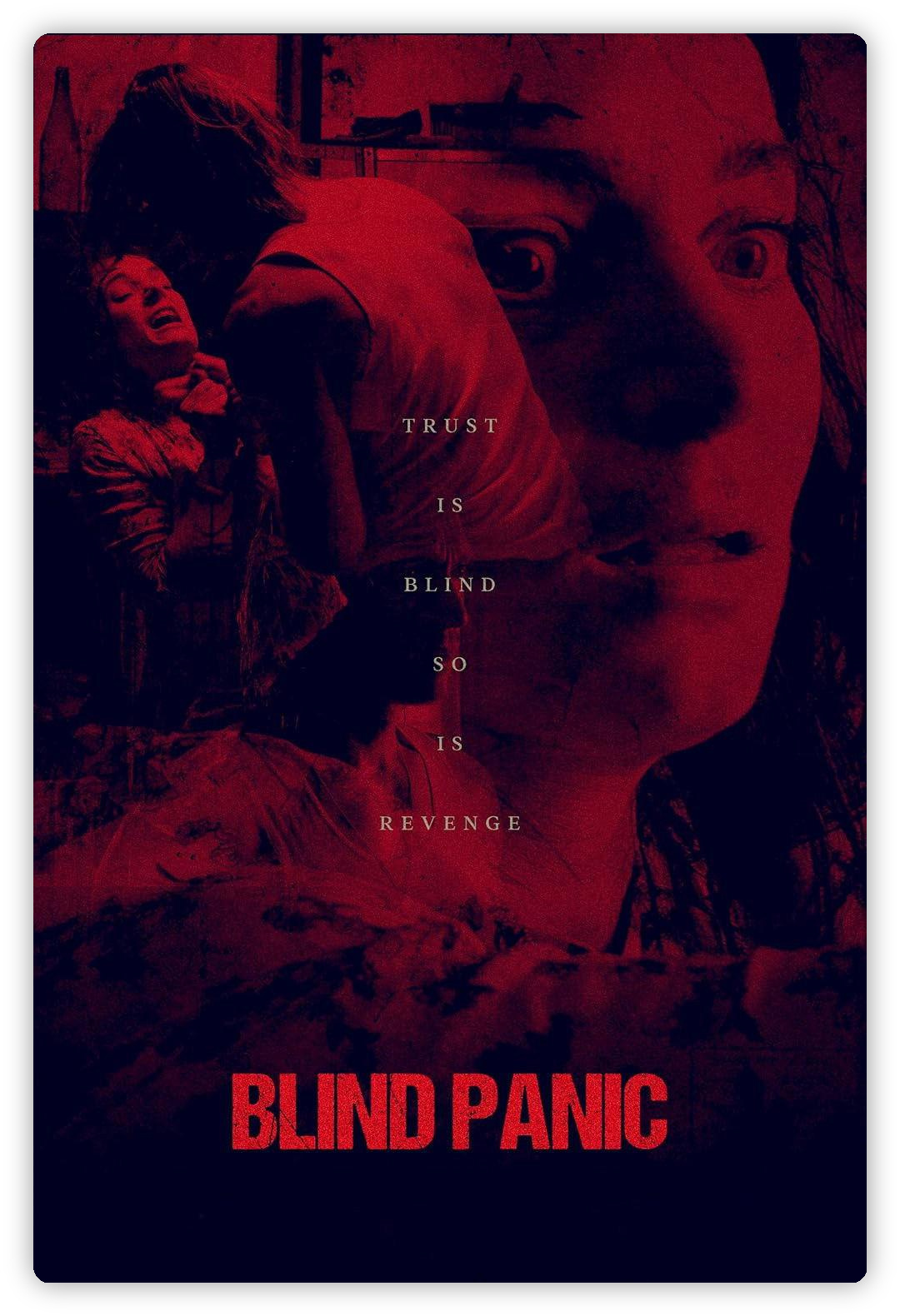 盲人恐惧 Blind Panic 影评:一个被浪费的惊悚题材
