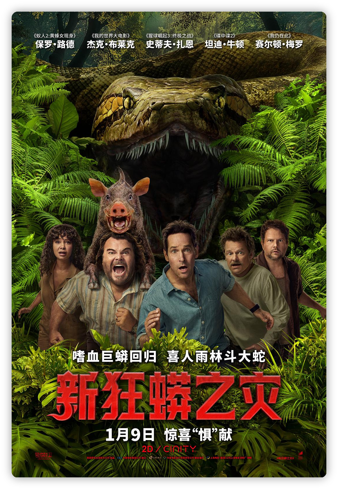 新狂蟒之灾 Anaconda 深度影评海报