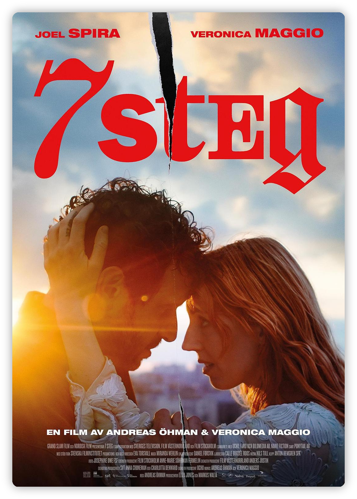 爱之七阶 7 Steg 深度影评海报