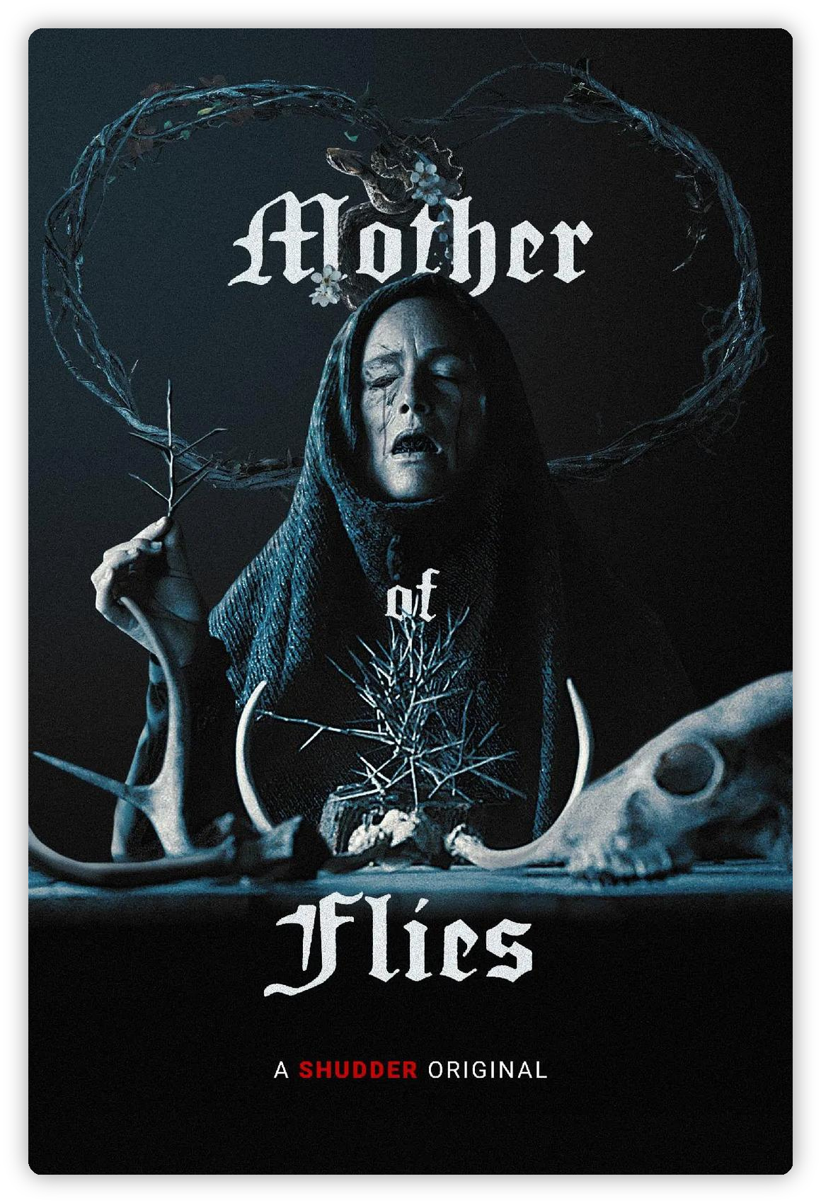 苍蝇之母 Mother of Flies 深度影评海报