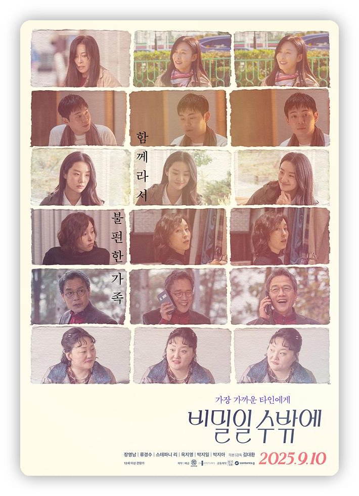 这必须是个秘密 비밀일 수밖에 深度影评海报