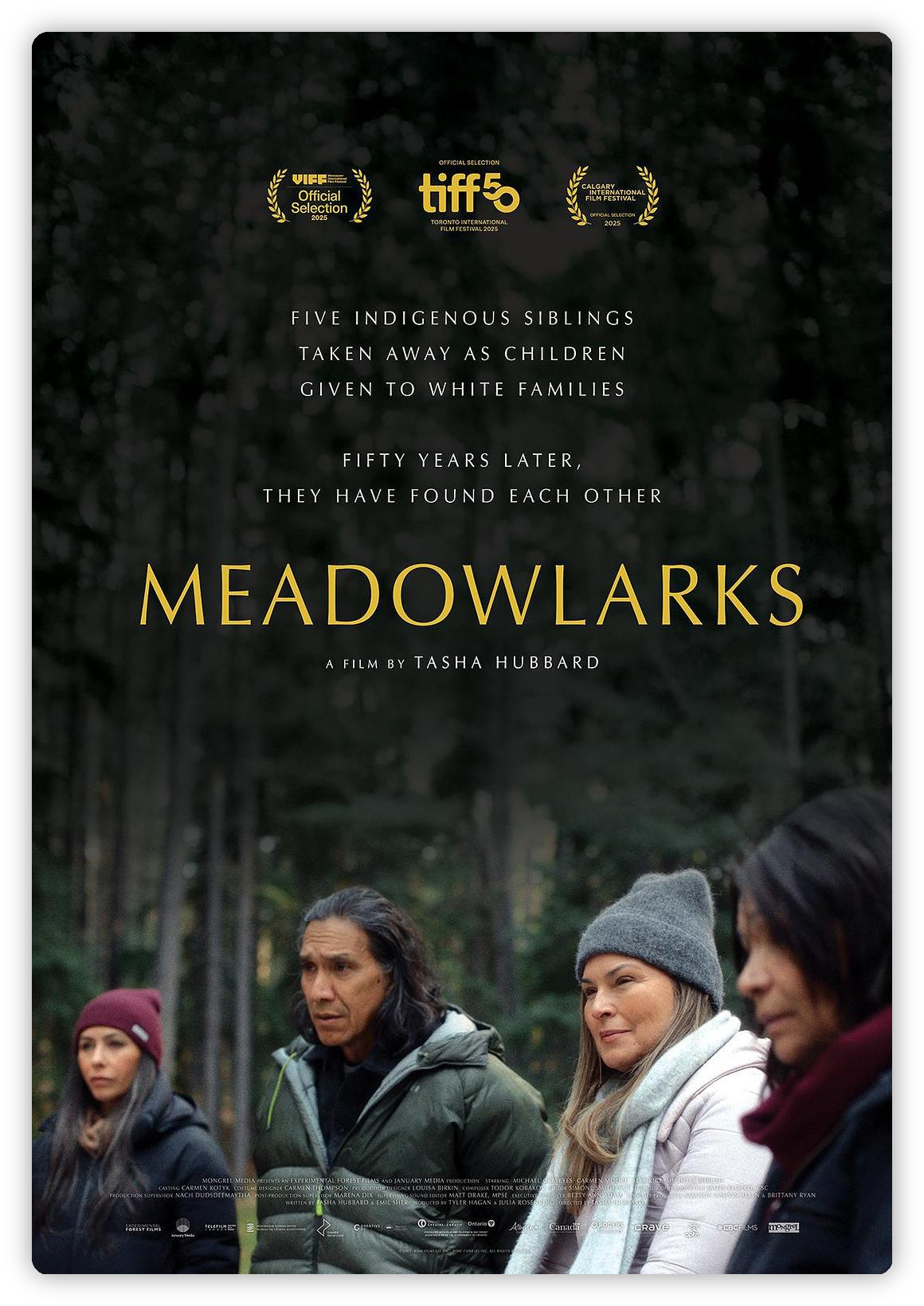 草原云雀 Meadowlarks 深度影评海报