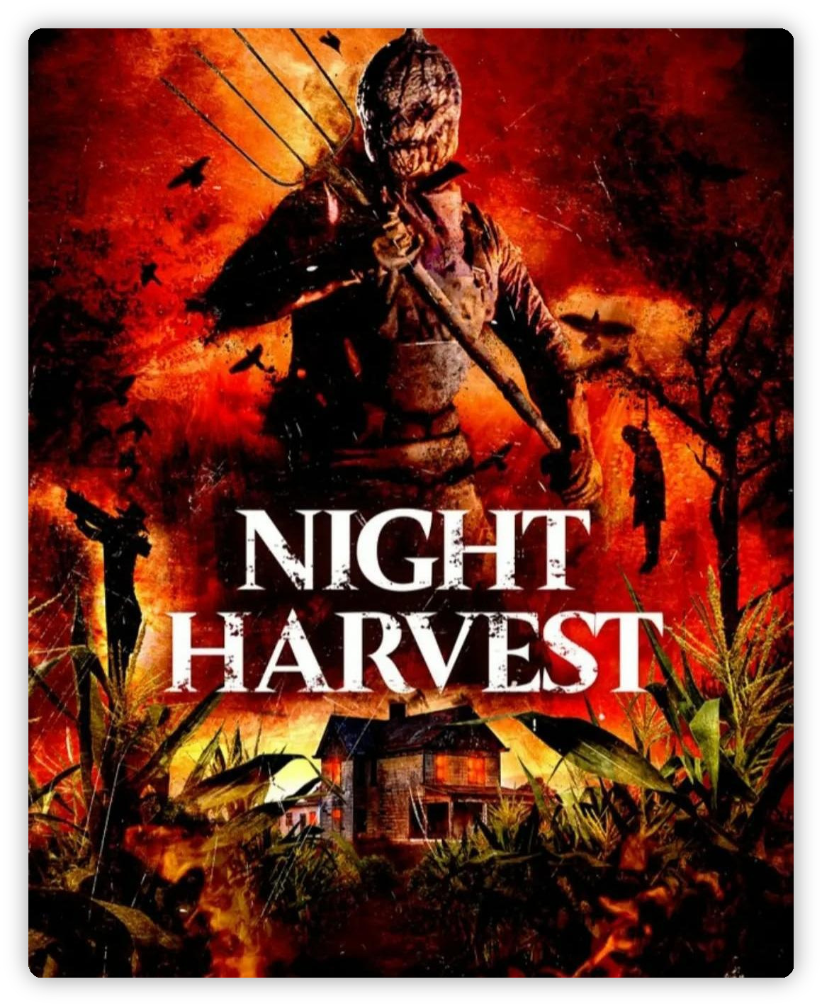 暗夜收割 Night Harvest 深度影评海报