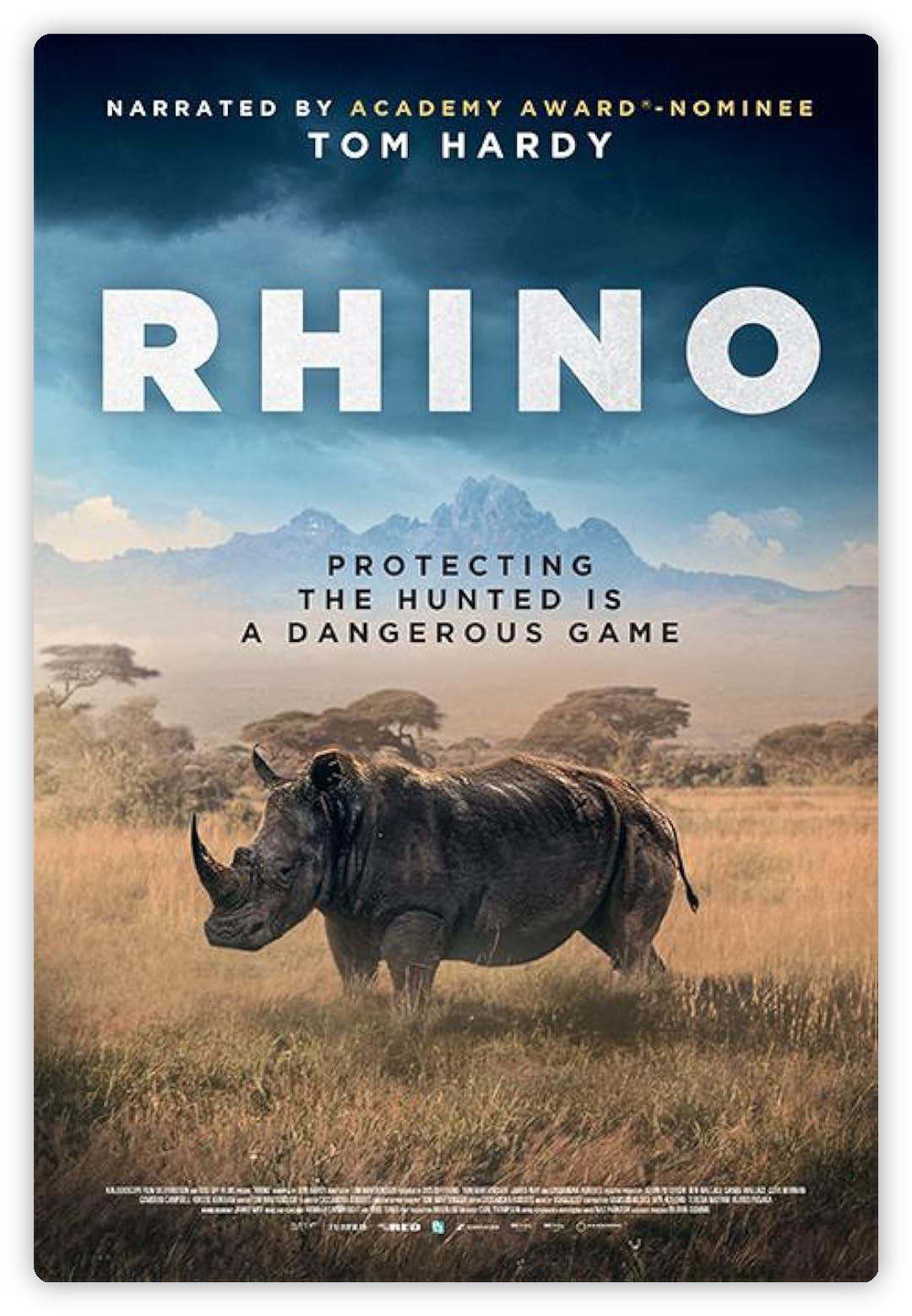 犀牛 RHINO 深度影评海报